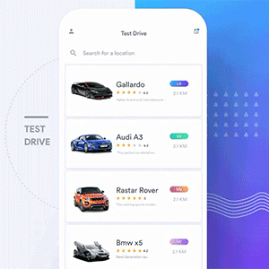Test drive iOS app 交互动态效果